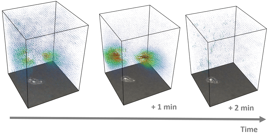 ../../_images/nk_dynamic_stacks.png